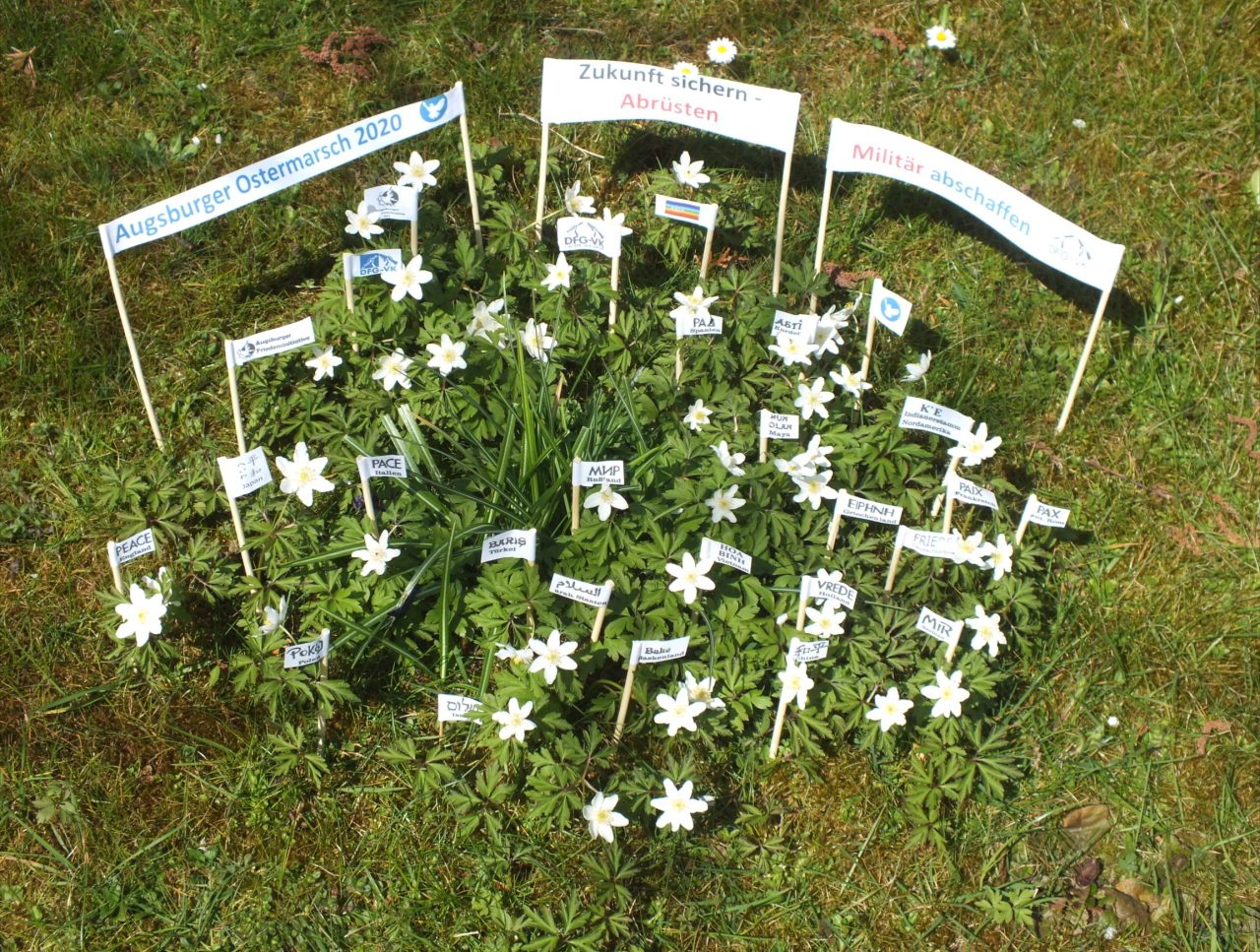 Haus und Blumendemo von Klaus Stampfer